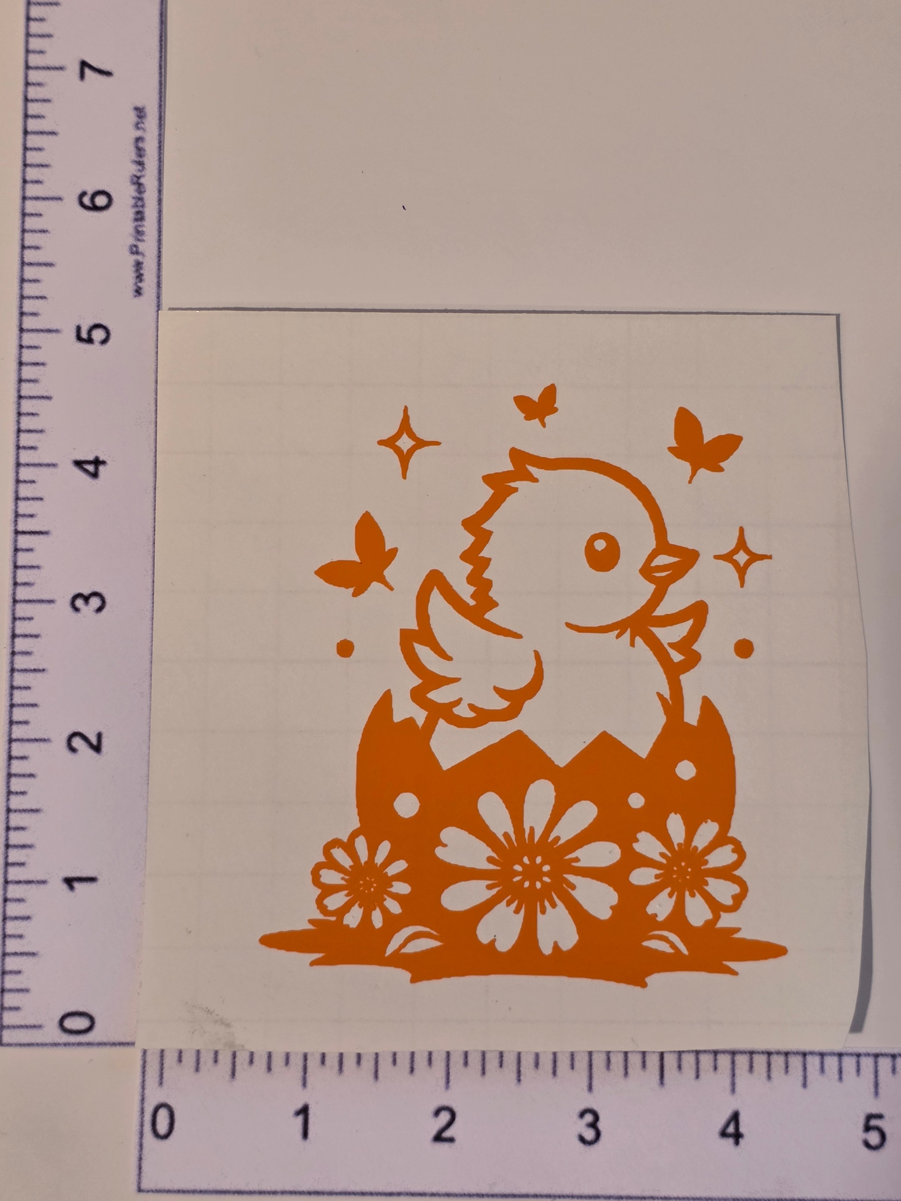 Cute Chick Decal