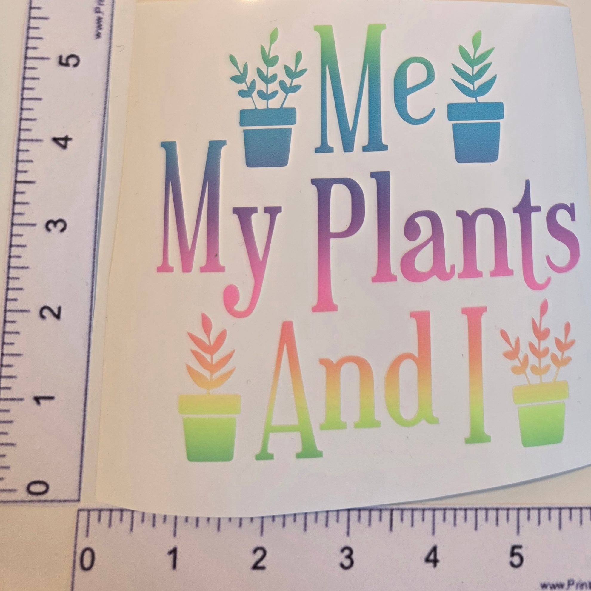 Me My Plants and I