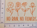 No Rain No Flowers