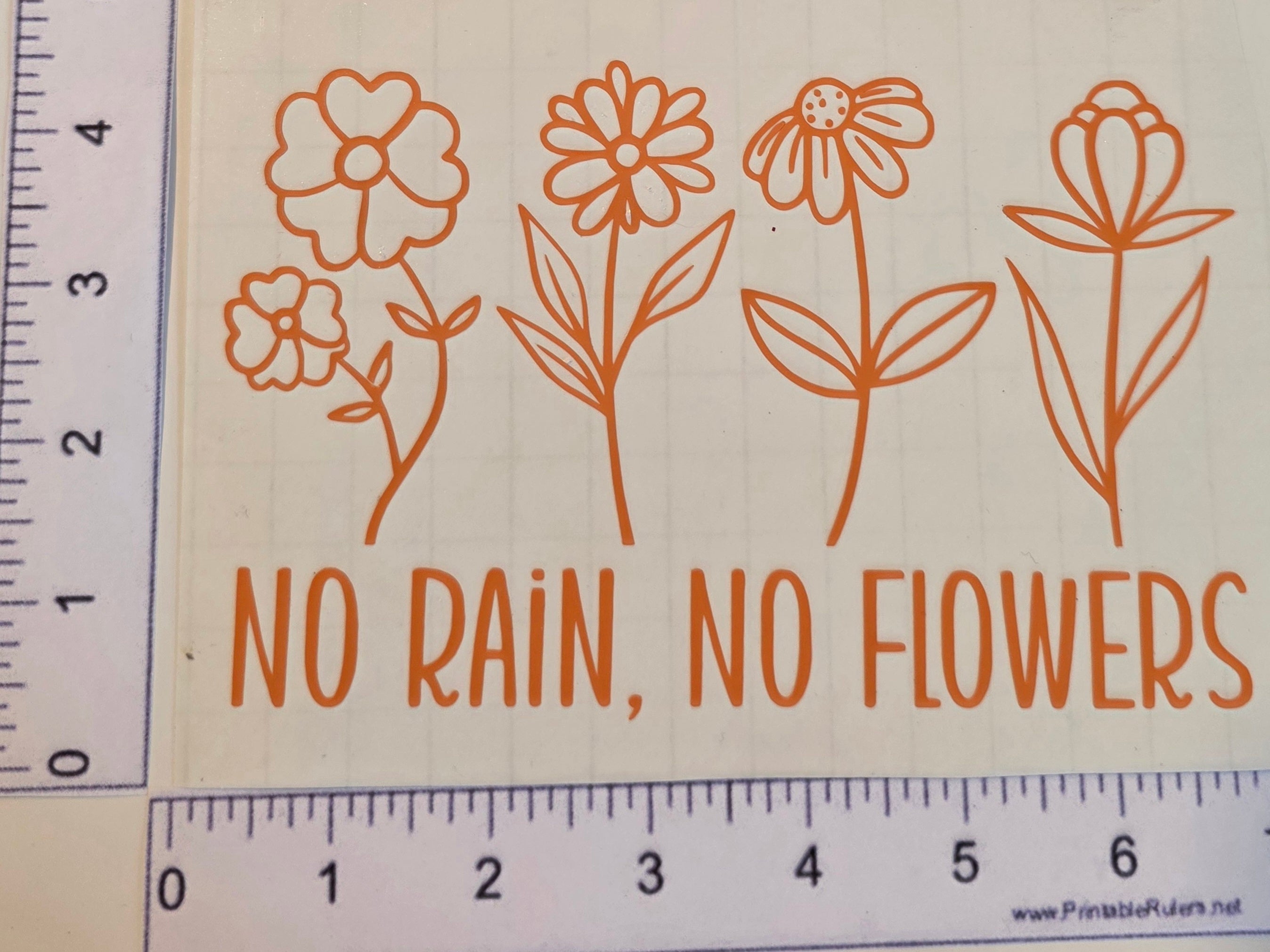 No Rain No Flowers