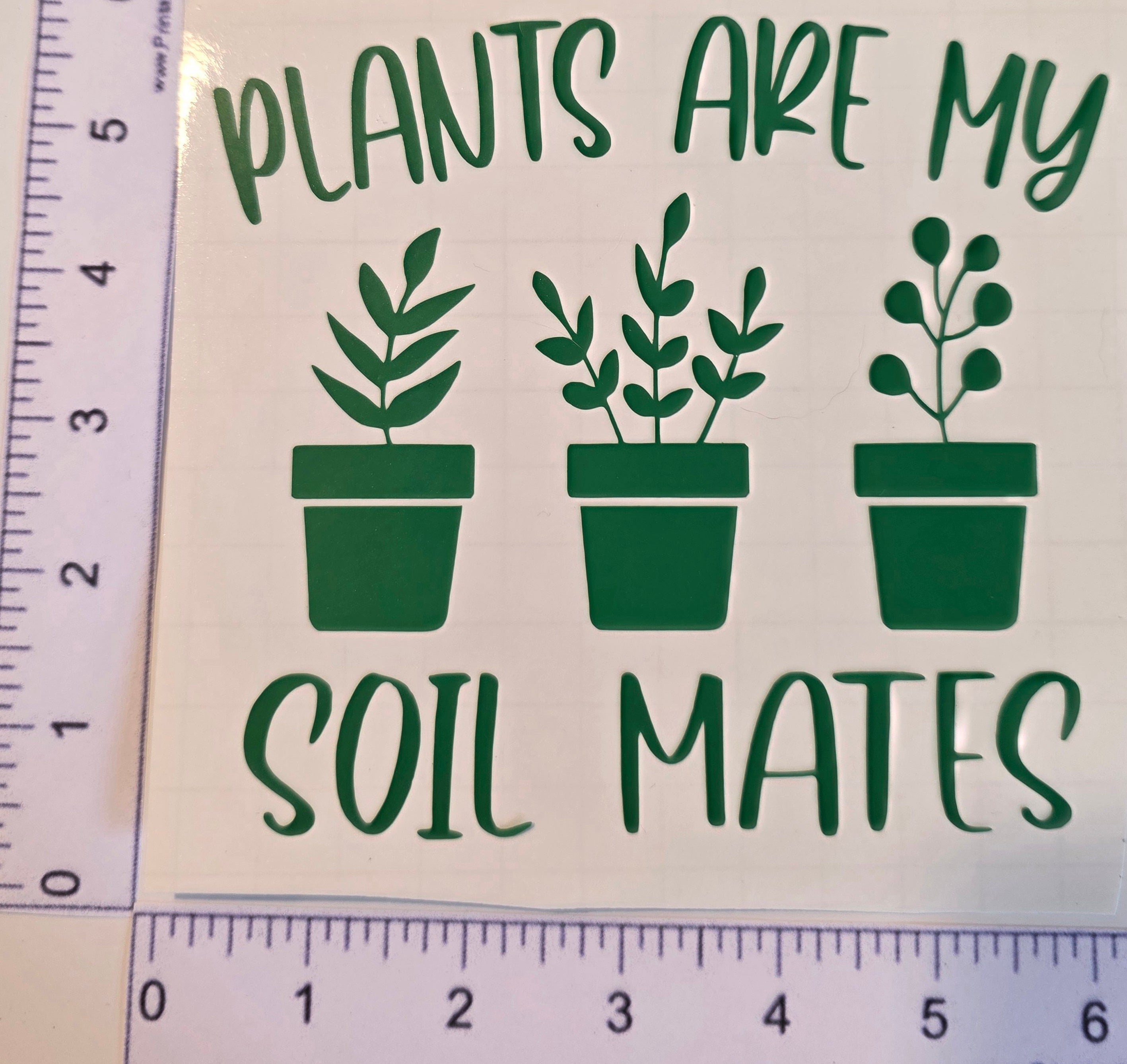 Plants Are My Soil Mates