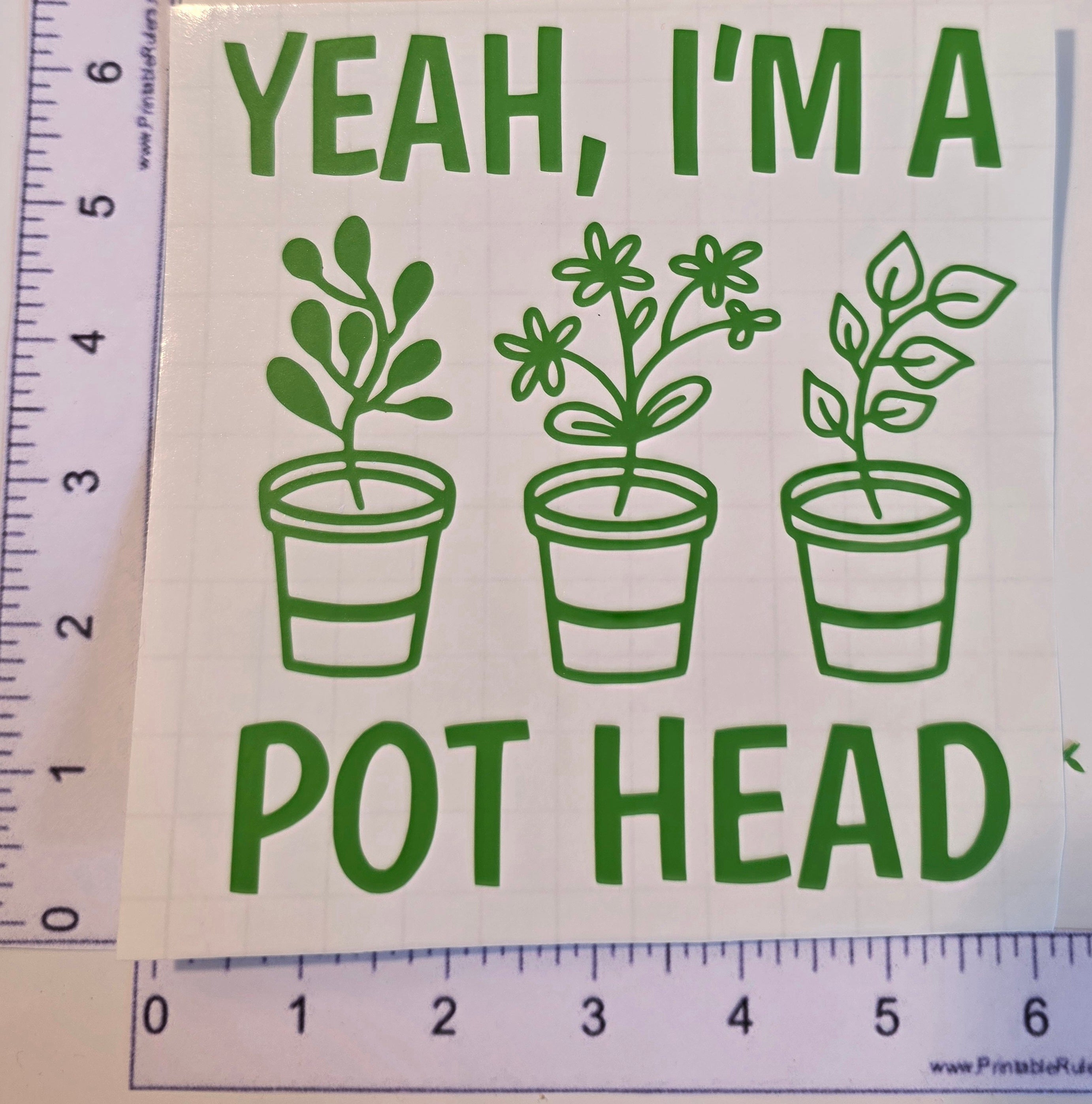 Yeah, I'm A Pot Head