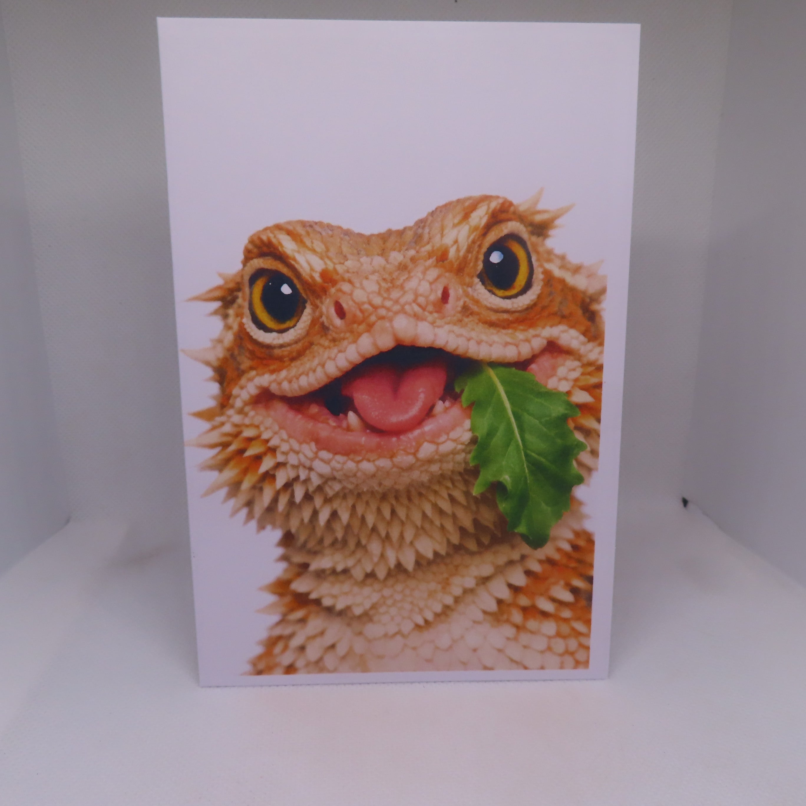 Goofy Bearded Dragon