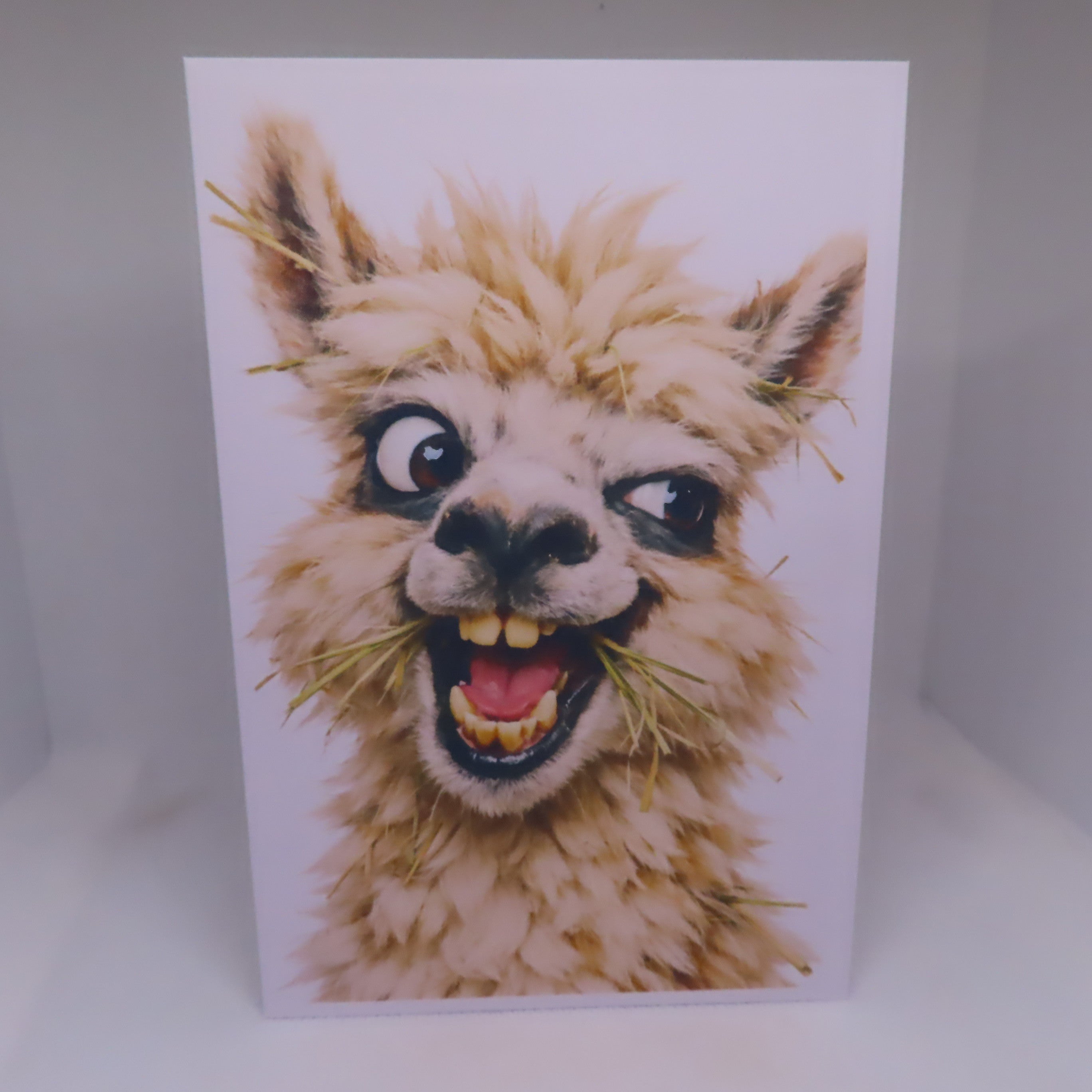 Goofy Llama Greeting Card
