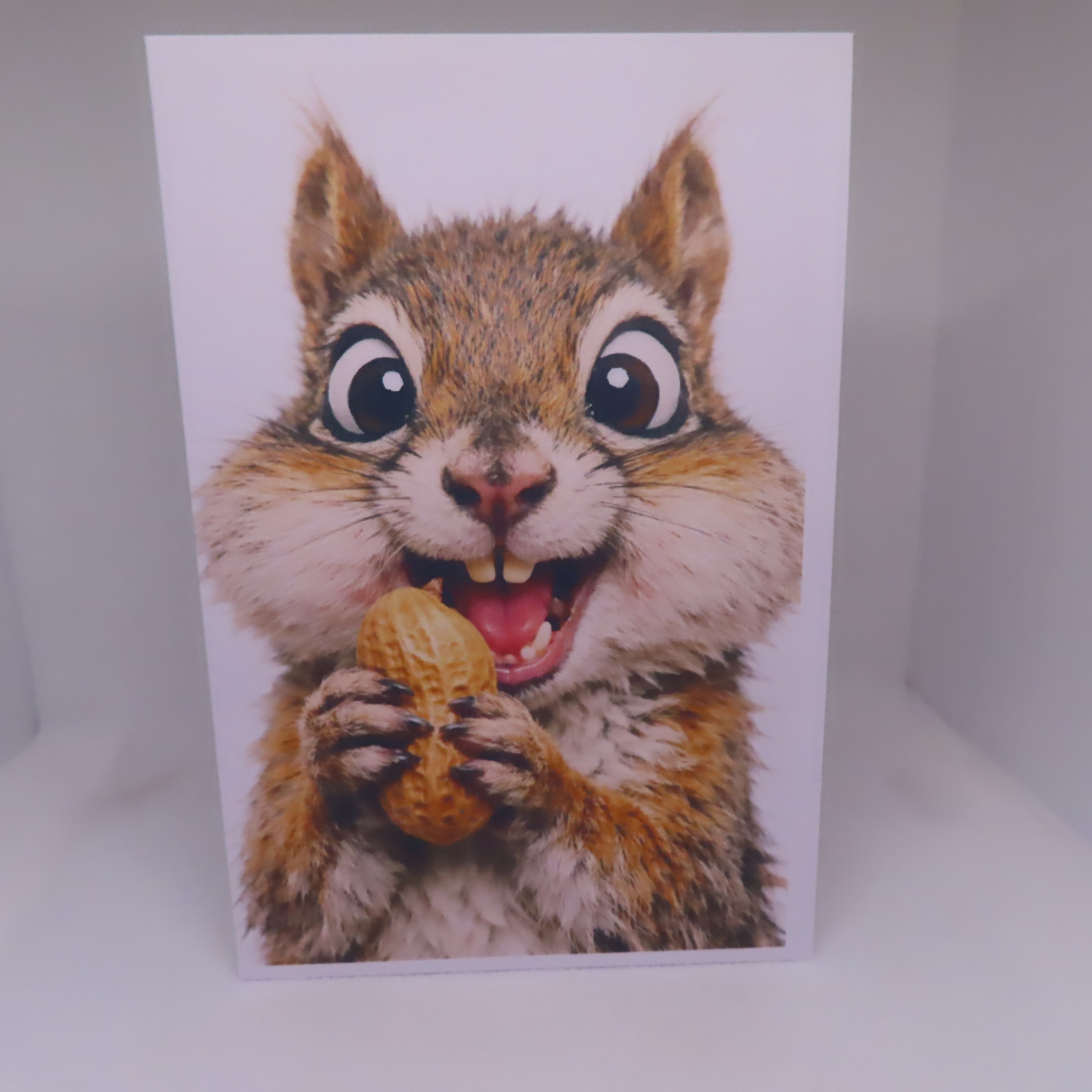 Goofy Squirrel Greeting Card