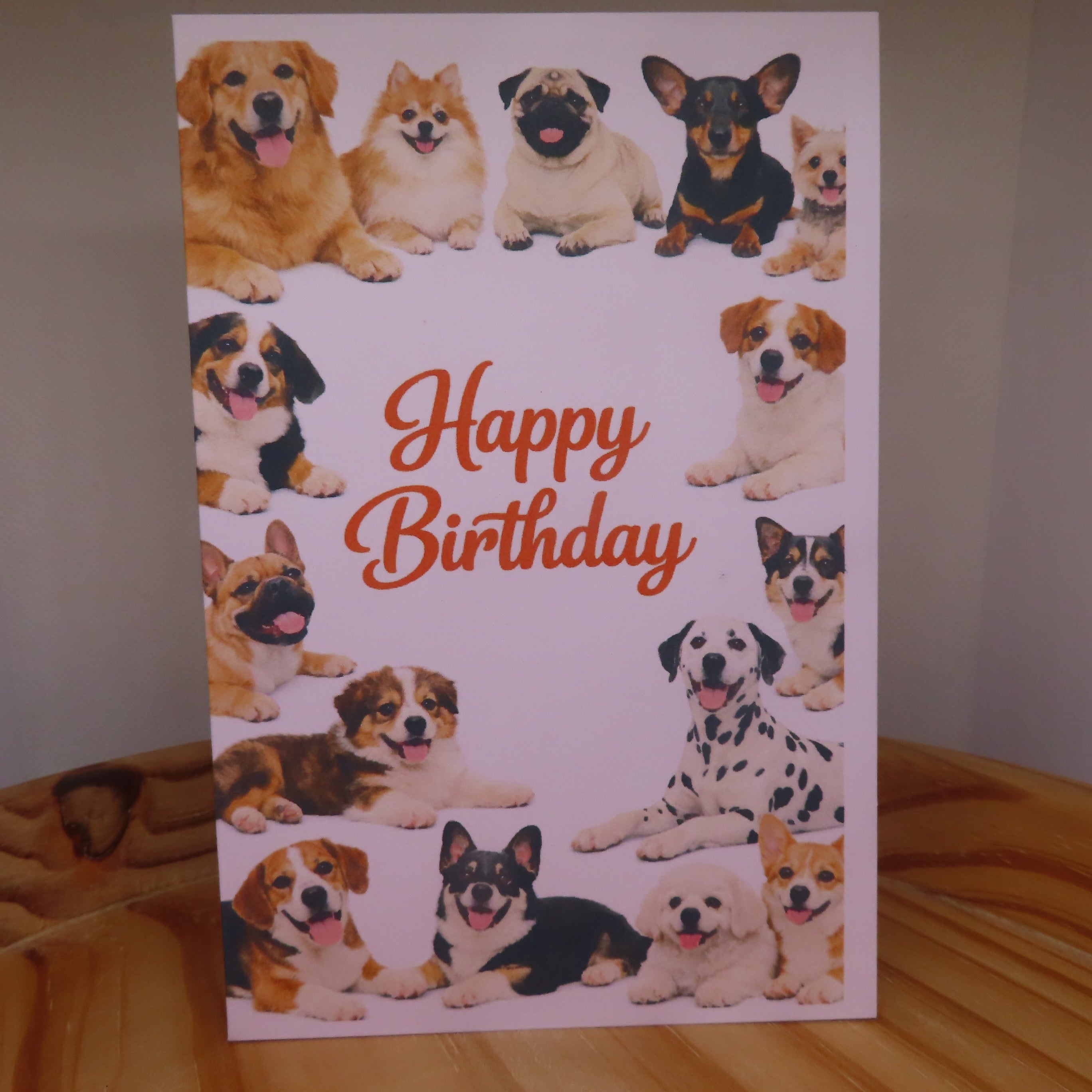 Dog Birthday Card