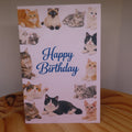 Cat Birthday Card