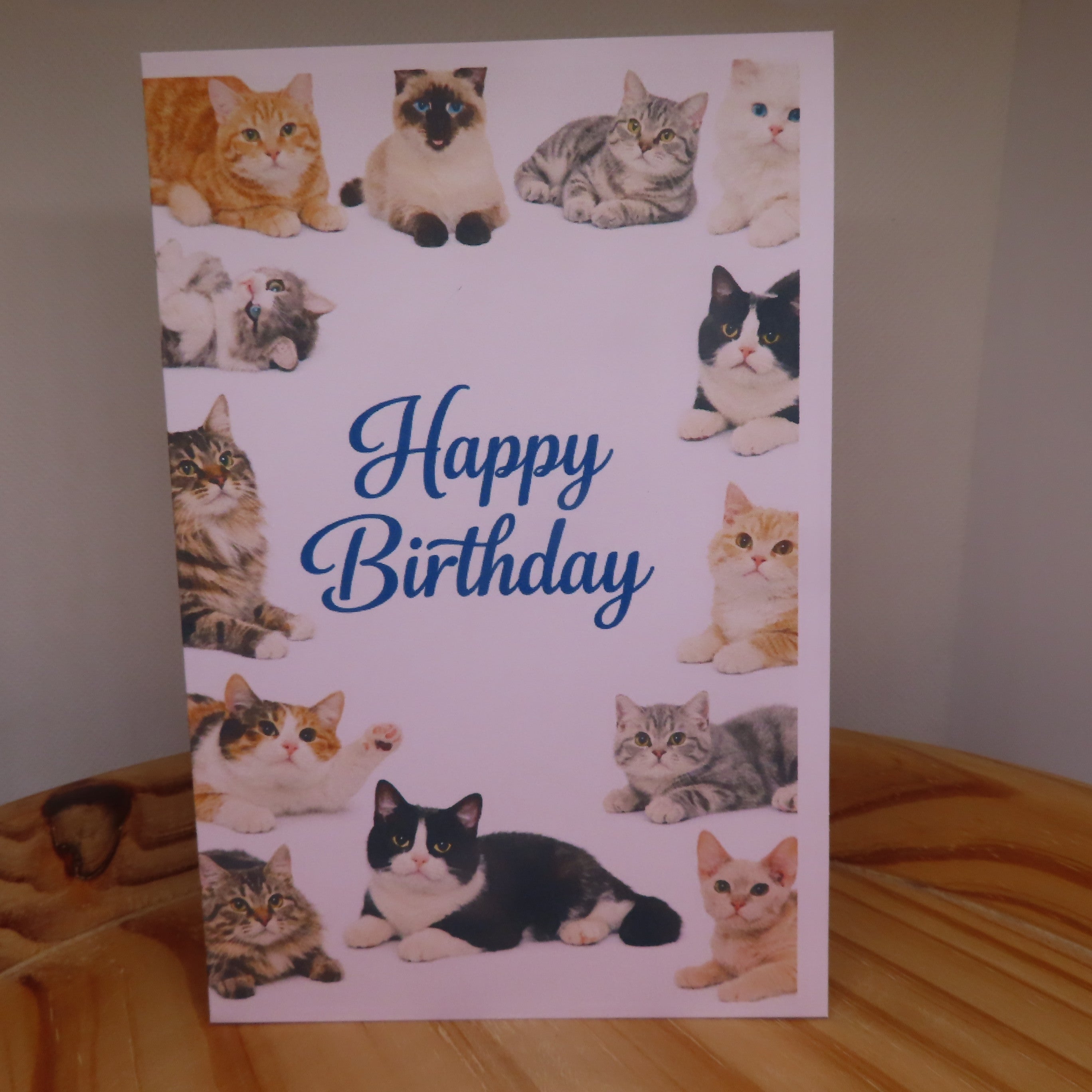Cat Birthday Card