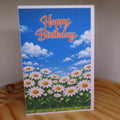 Daisy Birthday Card