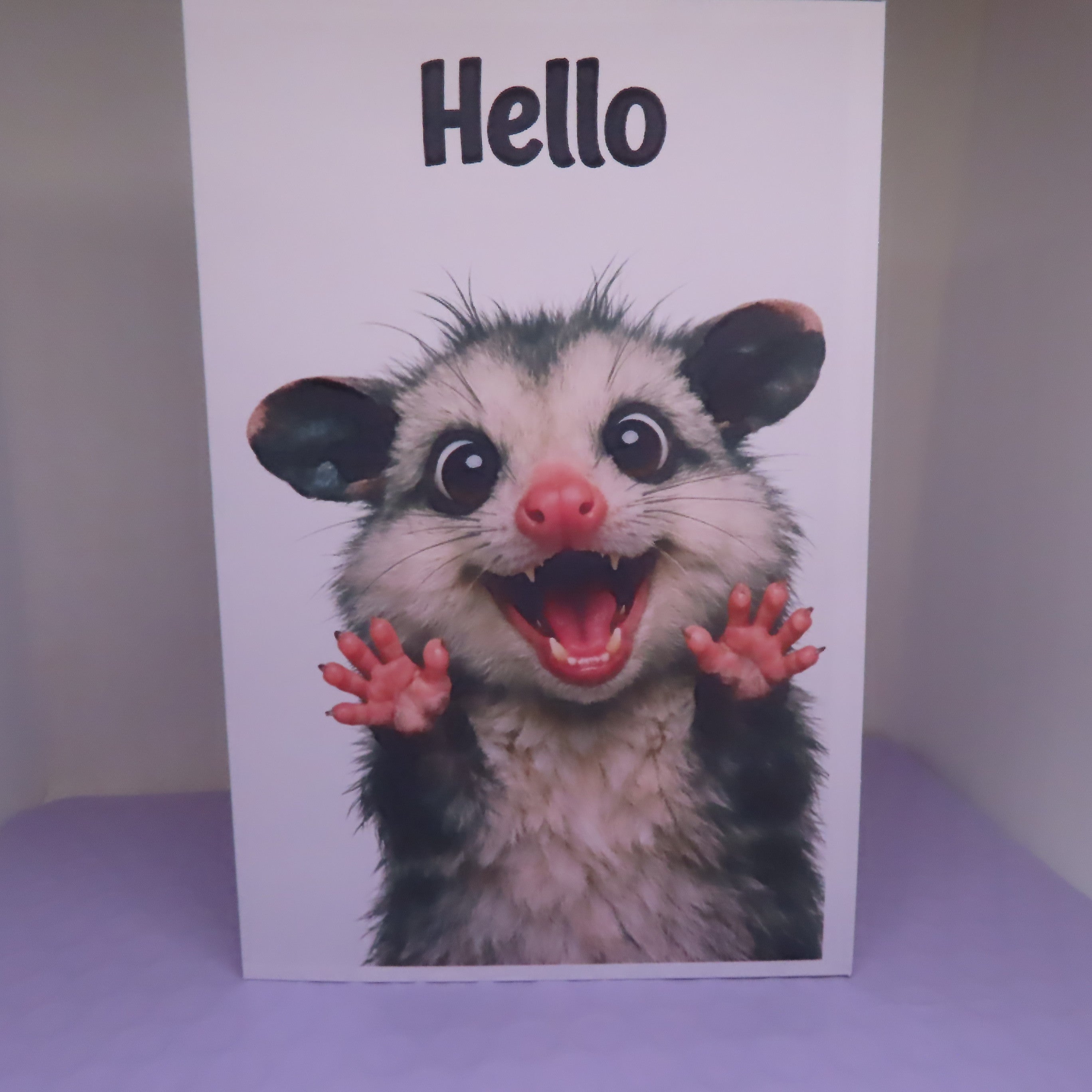 Opossum Hello Card